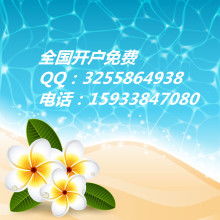 商務信息咨詢 企業(yè)智慧決策的導航者